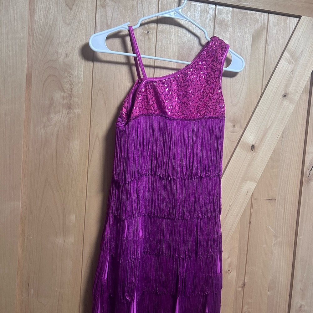 Pink and Purple Sequin Fringe Dress